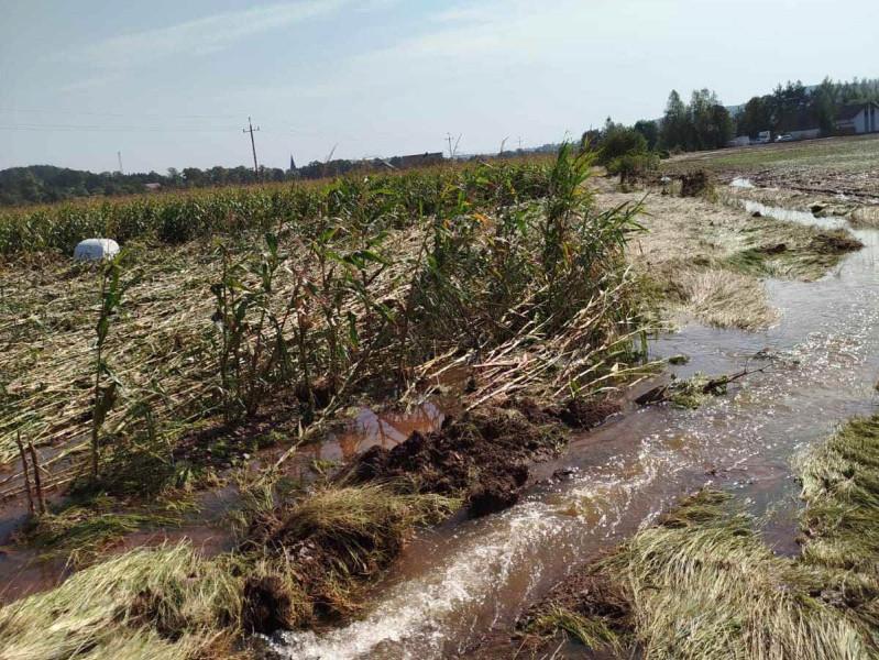 Lada dzień ruszą dotacje za straty z niezebranych upraw