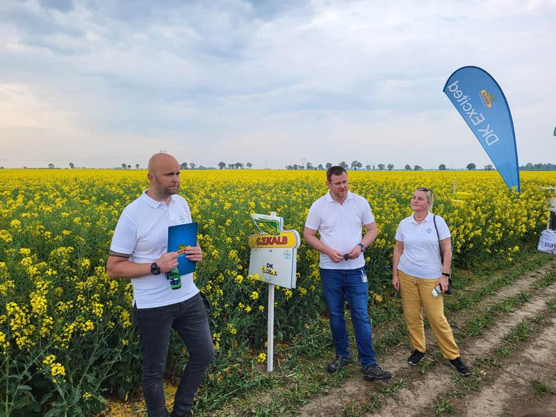 Bayer prezentuje nowości w ofercie rzepaku DEKALB® oraz ofertę ŚOR w uprawie zbóż i ziemniaków