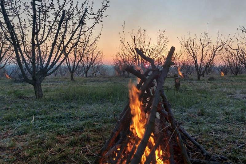 Węgrzy nocami chronią sady przed przymrozkami - ZDJĘCIA