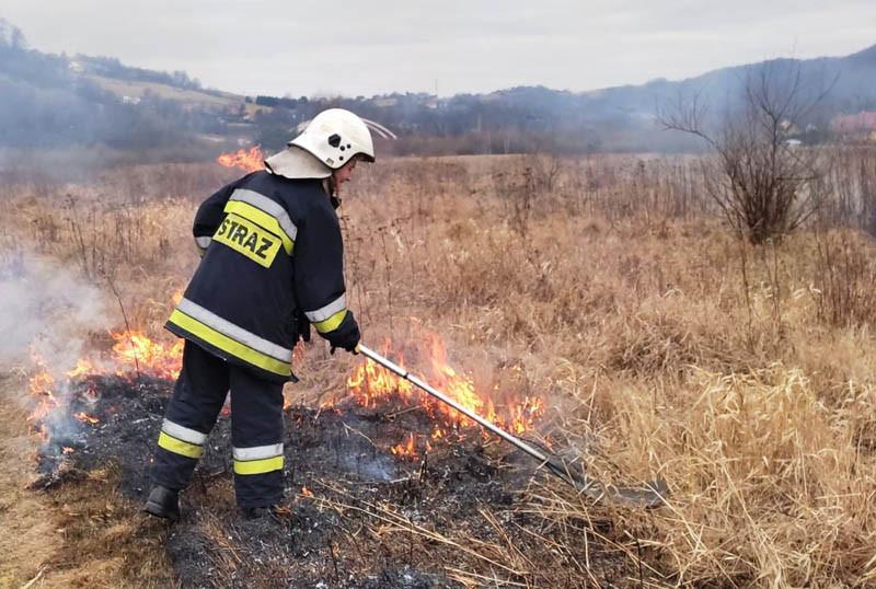 Ruszył sezon na ,,pożary'' traw