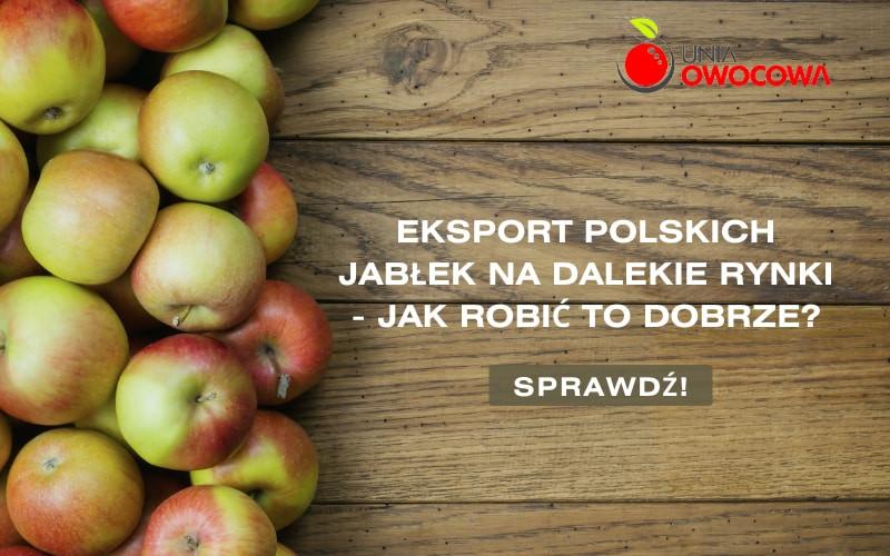 Eksport jabłek na dalekie rynki – jak robić to dobrze?