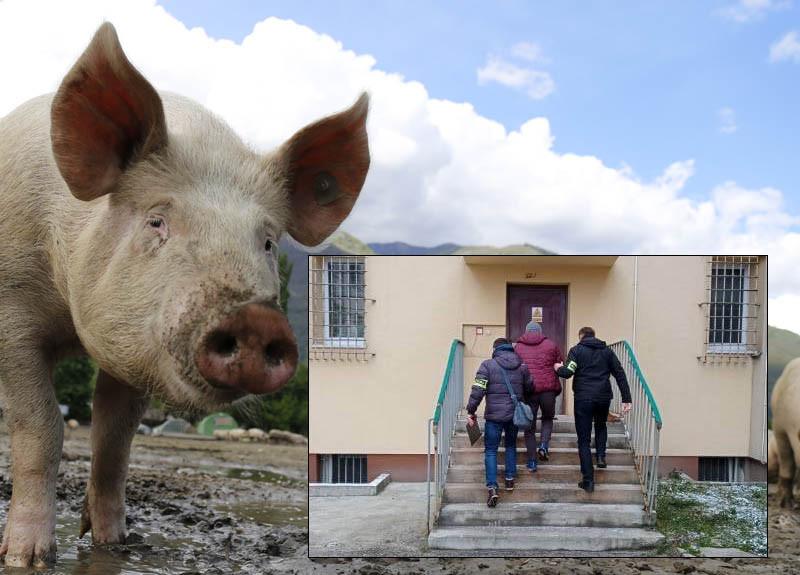 Prokuratura nie ma sobie nic do zarzucenia