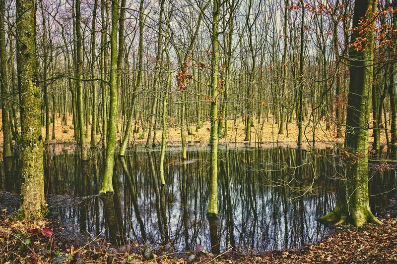 Copa-Cogeca o prawie ,,przywracania natury'' - przyjęte najmniejszą możliwą większością