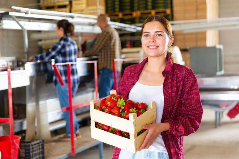 Integrowana Produkcja Owoców  na jakie korzyści mogą liczyć producenci?